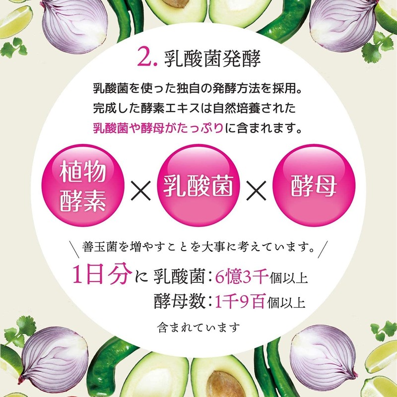 ISDG diet酵素 232種類野菜＆果物発酵凝縮 植物酵素 乳酸菌発酵 燃焼成分配合 120粒 2個セット