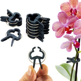 ECENCE 60x Plant clips plant clamps for tomatoes, 1.57inch Vines, roses, climbing aid for climbing plants, plant support, easy attachment, reusable