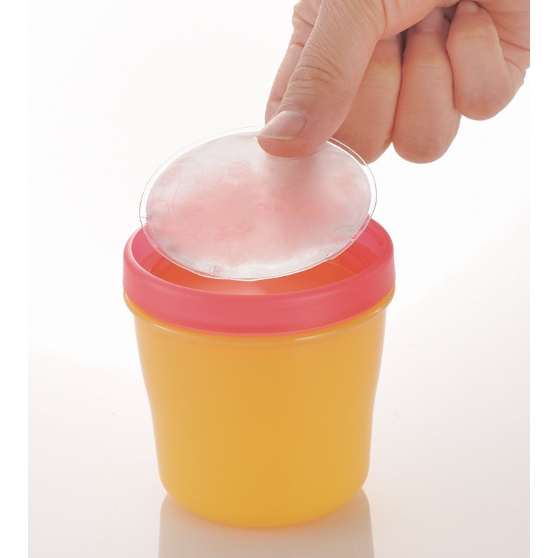 Richelle lunch outing-baby cool Bento box