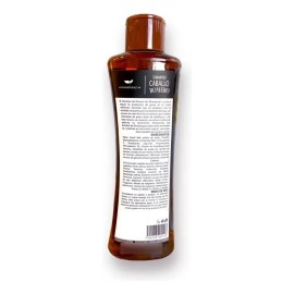 Shampoo Anticaída Natural Romero Ginseng Cafeína Arginina 500ml