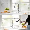Lavatrum Kitchen Faucet with Pull Down Sprayer, 17 inch Polished