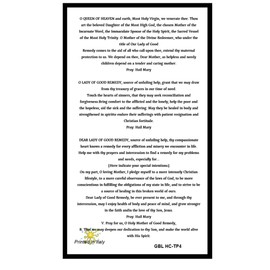 Gifts by Lulee, LLC Novena to Our Lady of Good Remedy Blessed Laminated Italian Holy card with Gold Accents