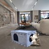Cat House for Indoor Cats Large Cat Lounge Cave Bed