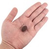 Clay Pebble, Wacent Hydroponic Clay Pebbles Grow Media Anion Clay