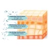 Heliotrop Anti-Ageing Face Serum for Dry Skin, Vegan Natural Cosmetics,