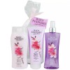 BODY FANTASIES JAPANESE CHERRY BLOSSOM WOMENS 3 PC SET *DISTRESSED