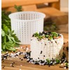 5 x Shape 6x4.7 cm – 150 g – Cheese