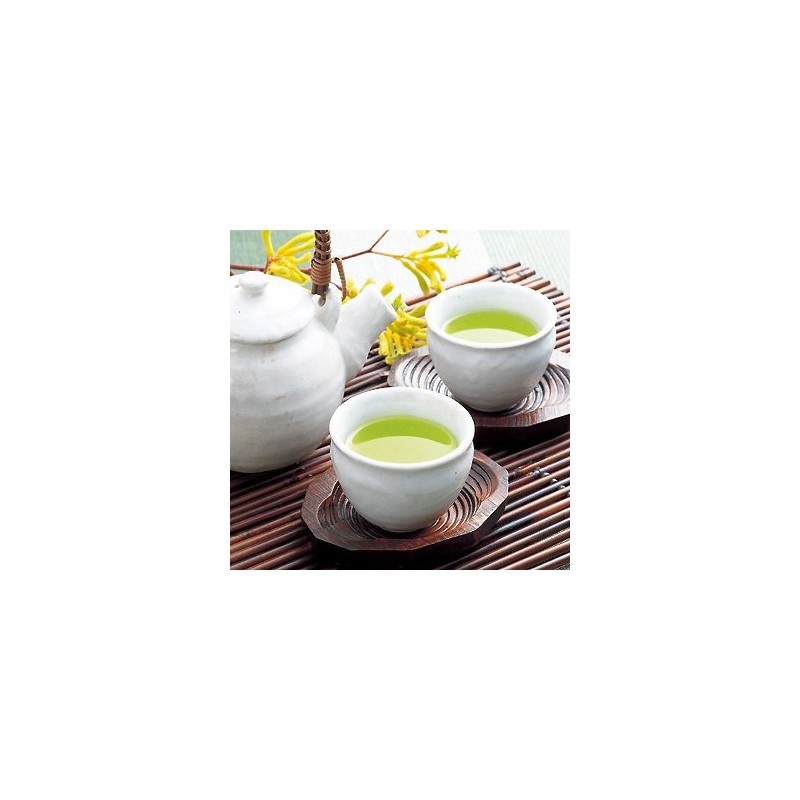 TeaLife Bang Bang Green Pot Tea Bags, Pack of 40