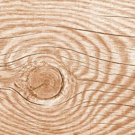 20 Napkins Wood Structure Natural with a Wood Grain from Forest and Nature 33 x 33 cm