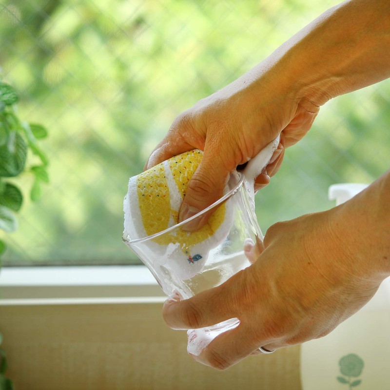 eComfort house cellulose sponge katakata kamome