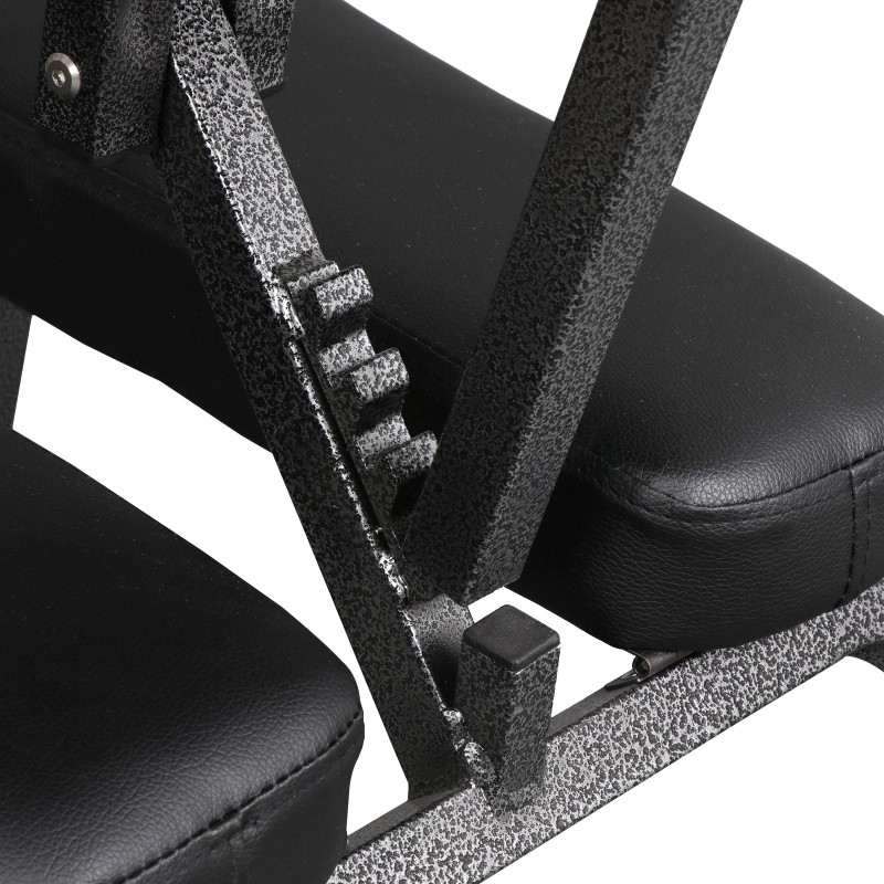 SEGAWE Adjustable Massage Chair Beauty Spa Tattoo Salon Chair Equipment