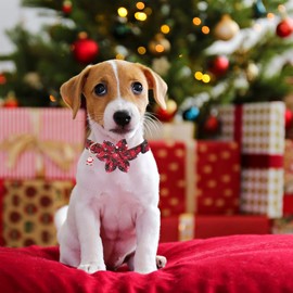 PTDECOR Christmas Dog Flower Collar, Adjustable Red Plaid Dog Christmas Collars with Removable Flower Christmas Dog Collars for Small Dogs Pets (Small, Red & Black Flower)