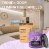 Lavender & Lilac Blossom Odor Eliminating Candles for Home Scented,