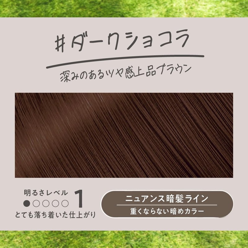 Liese Bubble Color Dark Chocolat Hair Color for Black Hair
