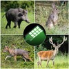 Hog Light for Night Hunting,22000LM Powered Feeder Light(Green) Solar Lights