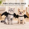 Black Bat Wings Pet Costume for Cats & Dogs –