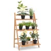 Casart Bamboo Ladder Stand Shelf, Foldable Multifunctional Flower Display Rack,