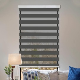 FansaFurn Cordless Zebra Blinds for Windows, Living Room Zebra Roller Shades Blinds for Windows, Sheer or Privacy Light Control, Day and Night Window Shades for Home, Office, 20" W X 72" H, Grey