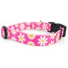 Limeloot Pink Daisy Dog Collar, Spring Summer Dog Collar for