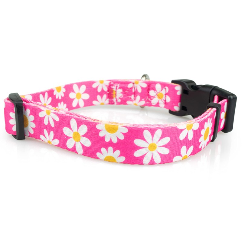 Limeloot Pink Daisy Dog Collar, Spring Summer Dog Collar for
