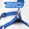 Pawtitas Dog Harness for Large Dogs Blue Dog Harness Step
