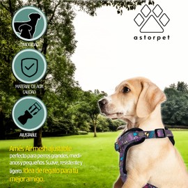 ASTORPET | Dog Harness Mesh Type Air Mesh. Adjustable Vest/Harness for Large, Medium and Small Dogs with Safety Lock. Walking and Training (M, NOVENTA'S)