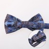 Dan Smith Men'S Bowtie Blue Feel Silk Paisley Bow Ties