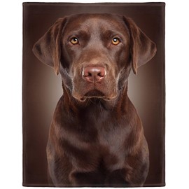 HommomH Chocolate Lab Blanket, Brown Labrador Dog Print, Soft Fluffy Fleece Throw, 60"x80"