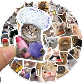 50 Pieces Cat Stickers,Funny Stickers,Cat Meme Sticker,Applicable to Water Bottle Scrapbook Phone