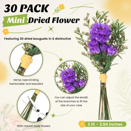 Nuanchu 30 Pcs Mini Dried Floral Flower Forget Me Not Bouquets Dried Embossing Flowers with Stem Natural Dried Bundles Flowers Bohemia Dried Flowers for Vase, Wedding, DIY Scrapbook Card Party Decor