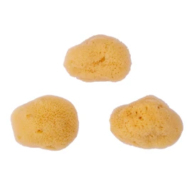 Repino Watercolour Sponge Natural Sponge Artist Watercolour Sponge Set – Fine-Pored – Pack of 3
