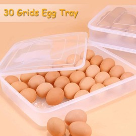 Easter Covered Egg Holder for Refrigerator,30 Deviled Egg Tray with Lid,Plastic Egg Containers,Fridge Egg Dispenser Egg Storage Box