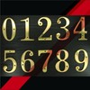 ZW Hardware A100 4 Inch Bright Brass House Number 9