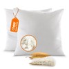 Cheer Collection Set of 2 Organic Kapok Pillows, Natural Kapok