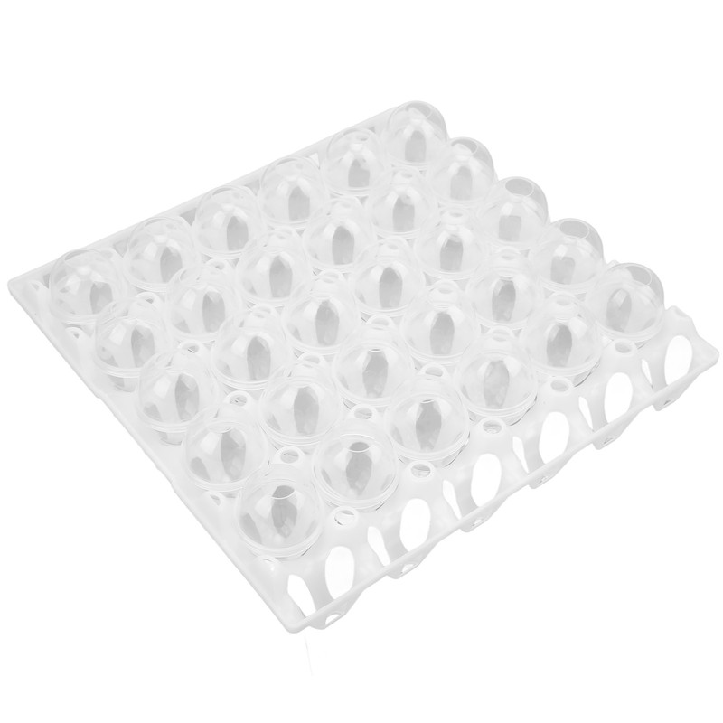 Eggshell and Egg Tray Model Safe Prevent Leakage Eggs Making
