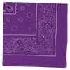 Artec 001247 Purple Bandana