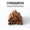 Puregen Labs Organic Cinnamon (Ceylon Cinnamon) 1,200mg Serving 90 Veggie