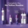 FANOLA No yellow Mask-Extra Violet Pigment/Maschera Antigiallo 350 ml