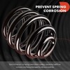 A-Premium 2Pcs Rear Left and Right Suspension Coil Spring Set