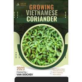 Vietnamese Coriander: Guide and overview