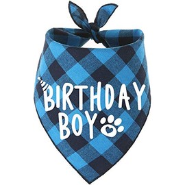 Dog Birthday Bandana Boy