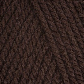 Stylecraft Special Chunky Knitting Wool/Yarn 100g - 1004 Dark Brown, 1 x 100g Ball