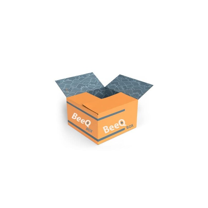 BEEQ BOX - Pack of 12 SunnyD Tangy Original Orange