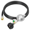 CALPOSE 6 Feet Propane Hose with Regulator & Gauge, Universal