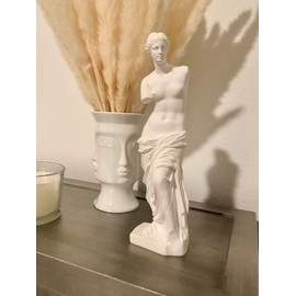 PEYZCNOK Venus de Milo Statue, Classic Greek Roman Mythology Goddess Aphrodite Statue, 11.5 x 3.15 x 2.16 Inches White Resin Statue Great Art for Home Office Décor