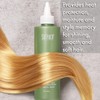 Surface Hair Blowout High Gloss Rinse, Instantly Shine, Smooth, Soften