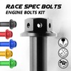 Autobahn88 Motorcycle Engine Bolt Dress-up Kit, compatible with Yamaha YZF