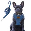 Aiminto Denim Dog Harness & Leash Set, Breathable Mesh, Lightweight,