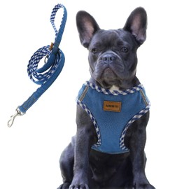 Aiminto Denim Dog Harness & Leash Set, Breathable Mesh, Lightweight, Reflective Harness Chest - For Medium Dogs (M Torso Range 42-48cm, Baby Blue)