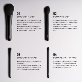 SOYO Standard Daily Set (7 Pieces + Case Included)